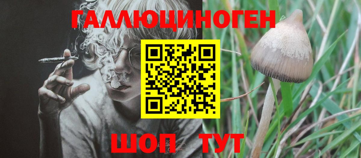 Анжеро-Судженск  Псилоцибиновые грибы прущие грибы  где можно купить наркотик  Вход с VPN 